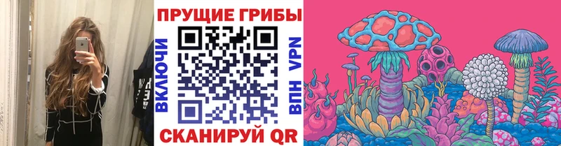 кракен ссылки  Минусинск  Галлюциногенные грибы GOLDEN TEACHER  где купить наркотик 