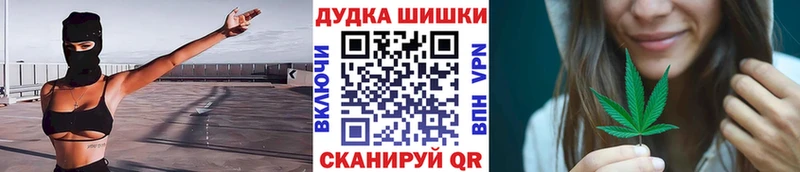 где купить наркотик Минусинск Бошки марихуана сатива